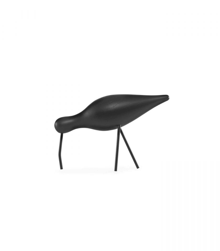 Shorebird large